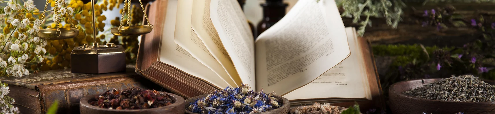 [Елена Горчакова] [Медвежий угол] 100 главных трав_0.png